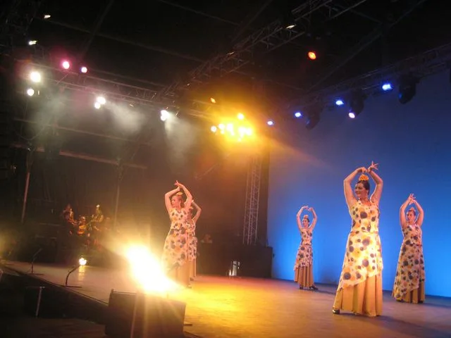 Confolens (Francia) — foto 23